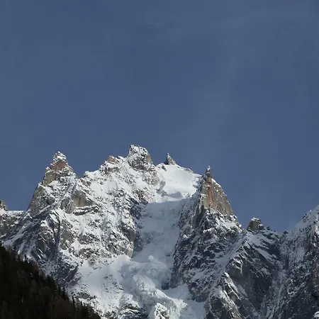 Chalet Darjiling-chamonix 펜션 *
